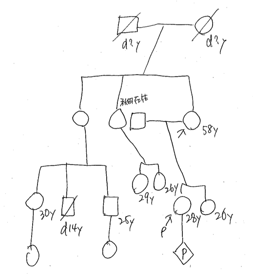 紙に手書きされた家系図。人物記号と関係線で3世代の家族が描かれている。